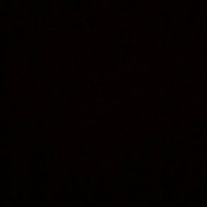 Meet your Posher, Colton